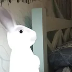 Kvitkovyi Rai Pensjonat Sławsko