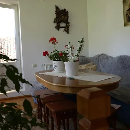 게스트하우스 Kvitkovyi Rai *