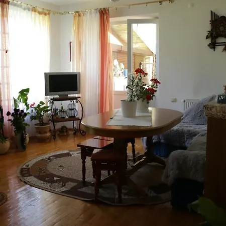 Kvitkovyi Rai 게스트하우스