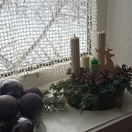 게스트하우스 Kvitkovyi Rai 슬랍스크