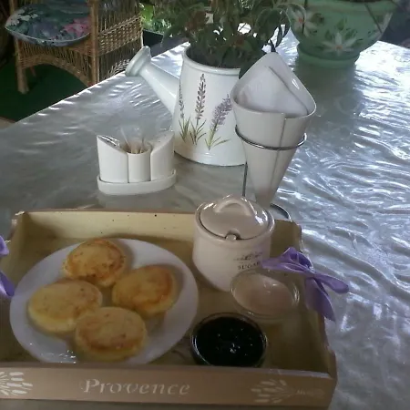 게스트하우스 Kvitkovyi Rai