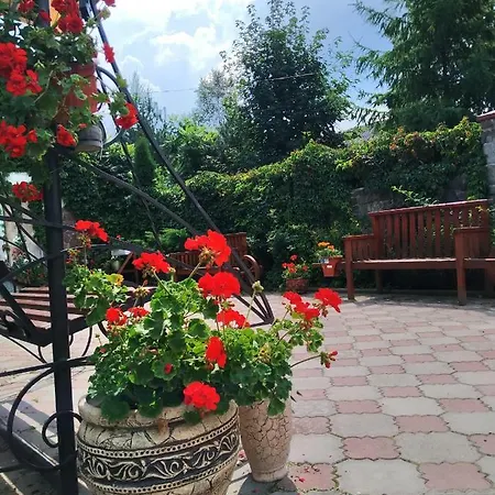 Kvitkovyi Rai з червня басейн з підігрівом 10 на 5 метрів Guest house *