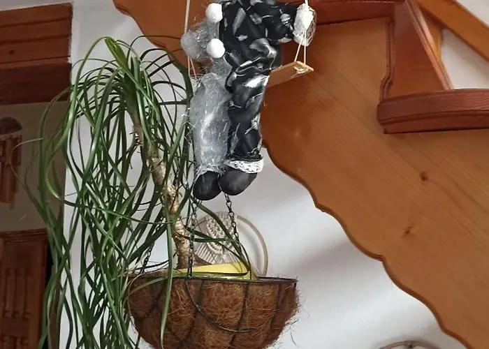 Kvitkovyi Rai Slavske